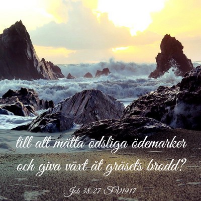 Picture 03 - Job 38:27 SV1917 - till att mätta ödsliga ödemarker och giva - Bible Verse Picture
