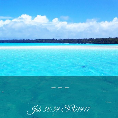 Picture 03 - Job 38:39 SV1917 -  - Bible Verse Picture
