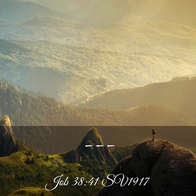 Picture 03 - Job 38:41 SV1917 -  - Bible Verse Picture