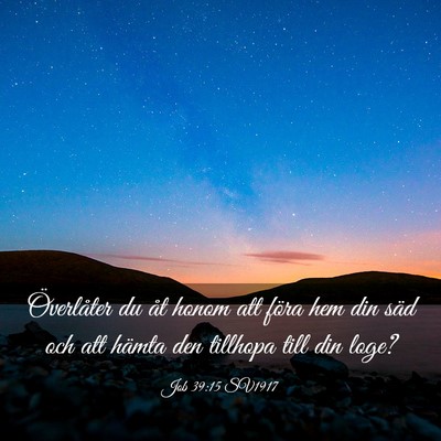 Picture 03 - Job 39:15 SV1917 - Överlåter du åt honom att föra hem din säd - Bible Verse Picture