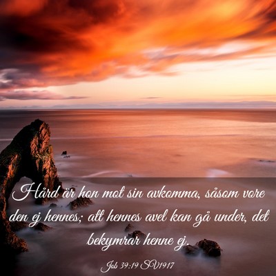 Picture 03 - Job 39:19 SV1917 - Hård är hon mot sin avkomma, såsom vore den ej - Bible Verse Picture