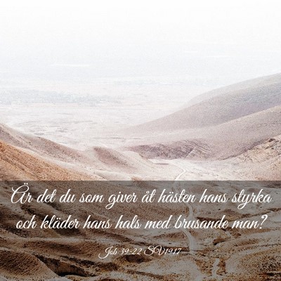 Picture 03 - Job 39:22 SV1917 - Är det du som giver åt hästen hans styrka och - Bible Verse Picture