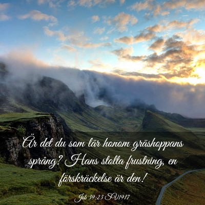 Picture 03 - Job 39:23 SV1917 - Är det du som lär honom gräshoppans språng? - Bible Verse Picture