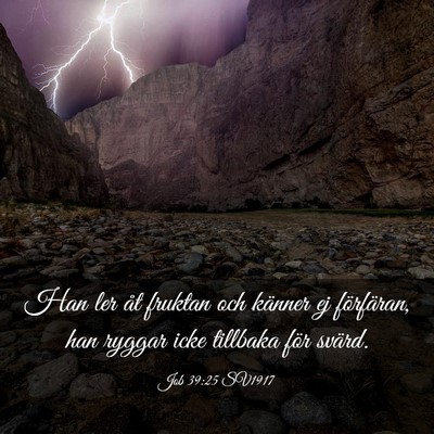 Picture 03 - Job 39:25 SV1917 - Han ler åt fruktan och känner ej förfäran, - Bible Verse Picture