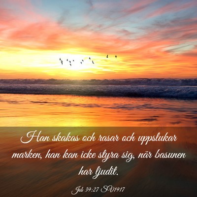 Picture 03 - Job 39:27 SV1917 - Han skakas och rasar och uppslukar marken, han - Bible Verse Picture