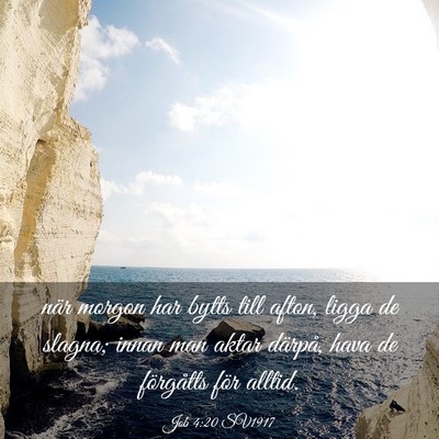 Picture 03 - Job 4:20 SV1917 - när morgon har bytts till afton, ligga de - Bible Verse Picture