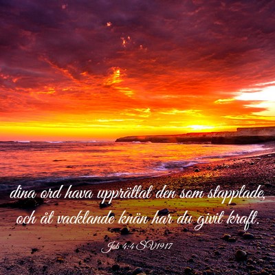 Picture 03 - Job 4:4 SV1917 - dina ord hava upprättat den som stapplade, och - Bible Verse Picture