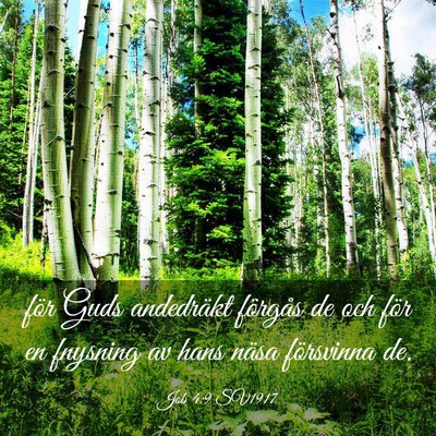Picture 03 - Job 4:9 SV1917 - för Guds andedräkt förgås de och för en - Bible Verse Picture