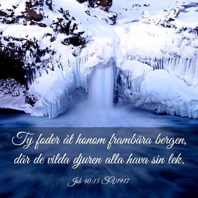 Picture 03 - Job 40:15 SV1917 - Ty foder åt honom frambära bergen, där de - Bible Verse Picture