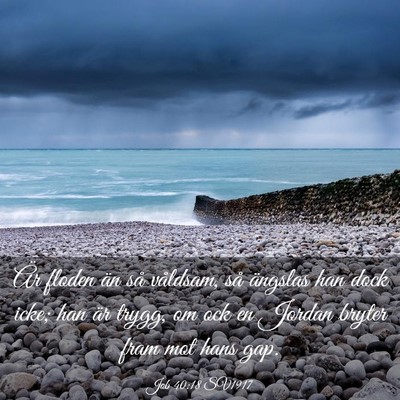 Picture 03 - Job 40:18 SV1917 - Är floden än så våldsam, så ängslas han - Bible Verse Picture
