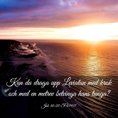 Picture 03 - Job 40:20 SV1917 - Kan du draga upp Leviatan med krok och med en - Bible Verse Picture