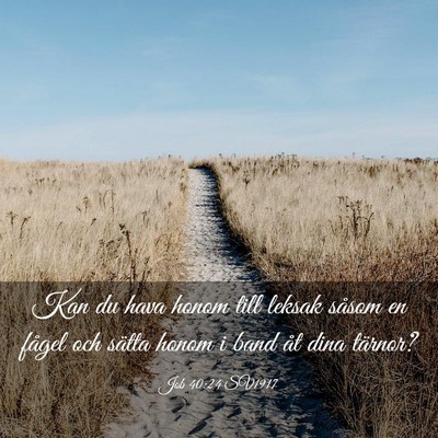 Picture 03 - Job 40:24 SV1917 - Kan du hava honom till leksak såsom en fågel - Bible Verse Picture