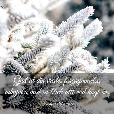 Picture 03 - Job 40:6 SV1917 - Gjut ut din vredes förgrymmelse, ödmjuka med en - Bible Verse Picture