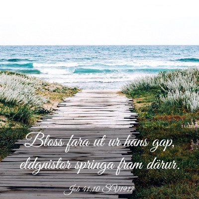 Picture 03 - Job 41:10 SV1917 - Bloss fara ut ur hans gap, eldgnistor springa - Bible Verse Picture