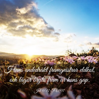 Picture 03 - Job 41:12 SV1917 - Hans andedräkt framgnistrar eldkol, och lågor - Bible Verse Picture