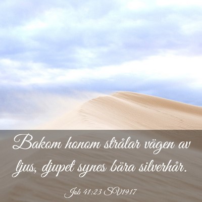 Picture 03 - Job 41:23 SV1917 - Bakom honom strålar vägen av ljus, djupet synes - Bible Verse Picture
