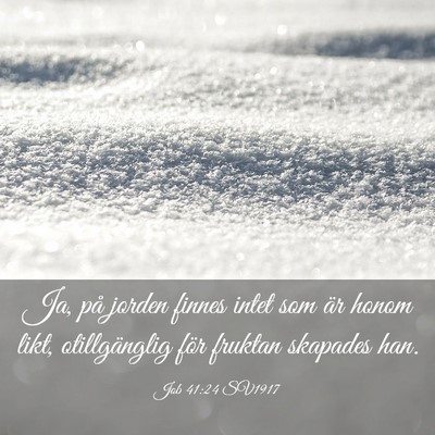 Picture 03 - Job 41:24 SV1917 - Ja, på jorden finnes intet som är honom likt, - Bible Verse Picture