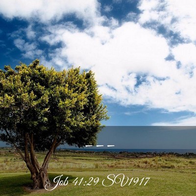 Picture 03 - Job 41:29 SV1917 -  - Bible Verse Picture