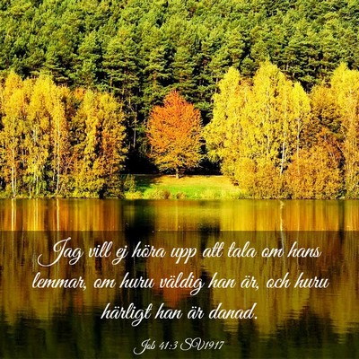 Picture 03 - Job 41:3 SV1917 - Jag vill ej höra upp att tala om hans lemmar, om - Bible Verse Picture
