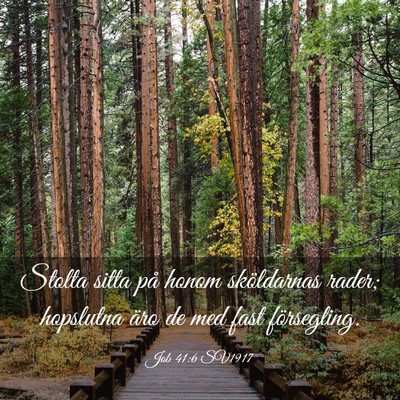 Picture 03 - Job 41:6 SV1917 - Stolta sitta på honom sköldarnas rader; - Bible Verse Picture