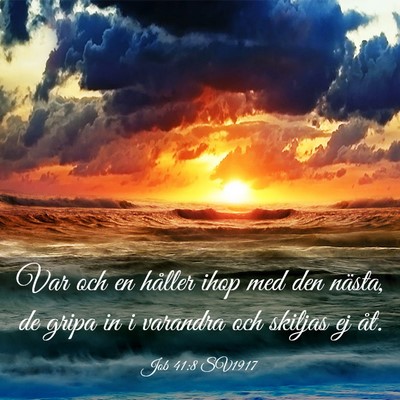 Picture 03 - Job 41:8 SV1917 - Var och en håller ihop med den nästa, de gripa - Bible Verse Picture