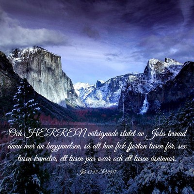 Picture 03 - Job 42:12 SV1917 - Och HERREN välsignade slutet av Jobs levnad - Bible Verse Picture