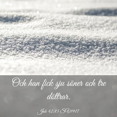 Picture 03 - Job 42:13 SV1917 - Och han fick sju söner och tre - Bible Verse Picture