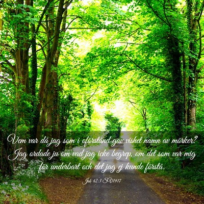 Picture 03 - Job 42:3 SV1917 - Vem var då jag som i oförstånd gav vishet namn - Bible Verse Picture