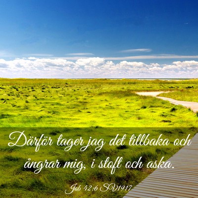 Picture 03 - Job 42:6 SV1917 - Därför tager jag det tillbaka och ångrar mig, - Bible Verse Picture