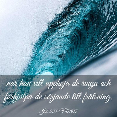 Picture 03 - Job 5:11 SV1917 - när han vill upphöja de ringa och förhjälpa - Bible Verse Picture