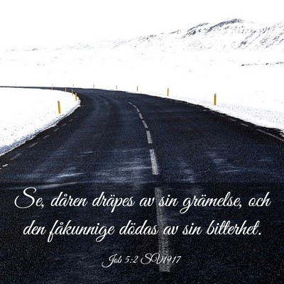 Picture 03 - Job 5:2 SV1917 - Se, dåren dräpes av sin grämelse, och den - Bible Verse Picture