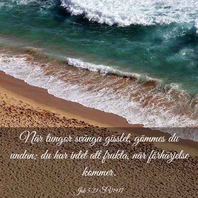 Picture 03 - Job 5:21 SV1917 - När tungor svänga gisslet, gömmes du undan; du - Bible Verse Picture