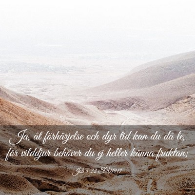 Picture 03 - Job 5:22 SV1917 - Ja, åt förhärjelse och dyr tid kan du då le, - Bible Verse Picture