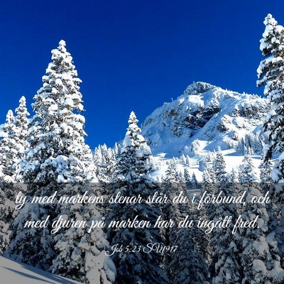 Picture 03 - Job 5:23 SV1917 - ty med markens stenar står du i förbund, och - Bible Verse Picture