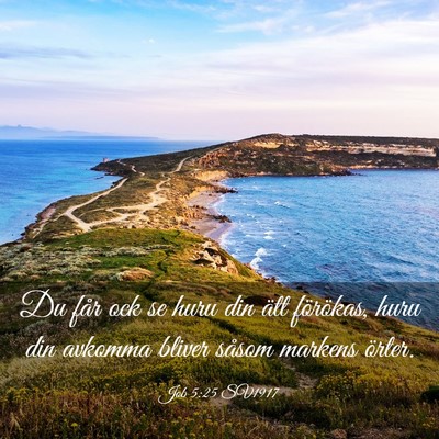 Picture 03 - Job 5:25 SV1917 - Du får ock se huru din ätt förökas, huru din - Bible Verse Picture