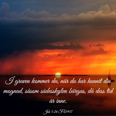 Picture 03 - Job 5:26 SV1917 - I graven kommer du, när du har hunnit din - Bible Verse Picture
