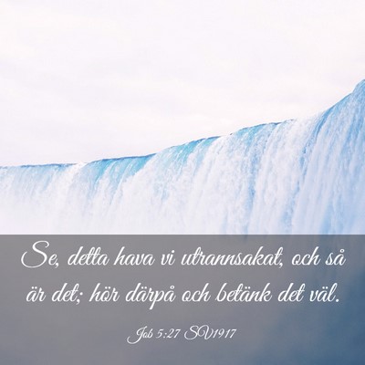 Picture 03 - Job 5:27 SV1917 - Se, detta hava vi utrannsakat, och så är det; - Bible Verse Picture