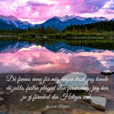 Picture 03 - Job 6:10 SV1917 - Då funnes ännu för mig någon tröst, jag - Bible Verse Picture