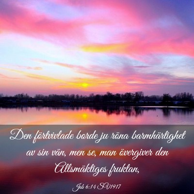 Picture 03 - Job 6:14 SV1917 - Den förtvivlade borde ju röna barmhärtighet av - Bible Verse Picture