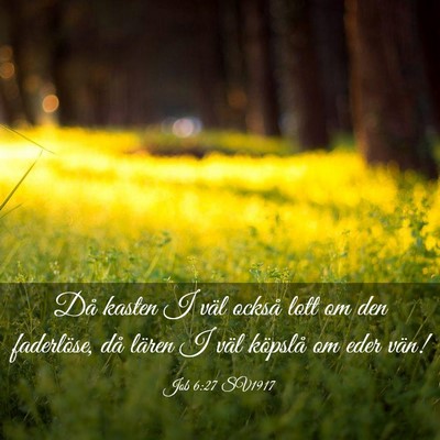 Picture 03 - Job 6:27 SV1917 - Då kasten I väl också lott om den faderlöse, - Bible Verse Picture