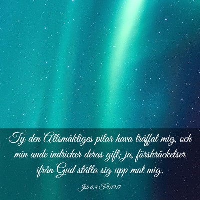 Picture 03 - Job 6:4 SV1917 - Ty den Allsmäktiges pilar hava träffat mig, och - Bible Verse Picture