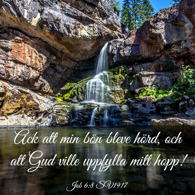 Picture 03 - Job 6:8 SV1917 - Ack att min bön bleve hörd, och att Gud ville - Bible Verse Picture