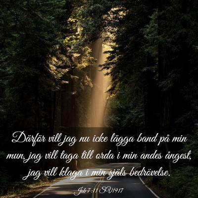 Picture 03 - Job 7:11 SV1917 - Därför vill jag nu icke lägga band på min - Bible Verse Picture