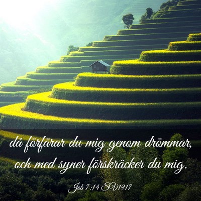 Picture 03 - Job 7:14 SV1917 - då förfärar du mig genom drömmar, och med - Bible Verse Picture