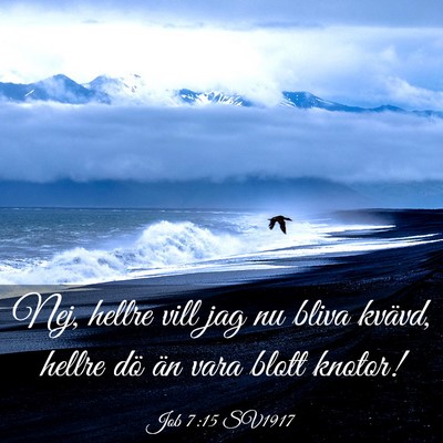 Picture 03 - Job 7:15 SV1917 - Nej, hellre vill jag nu bliva kvävd, hellre dö - Bible Verse Picture