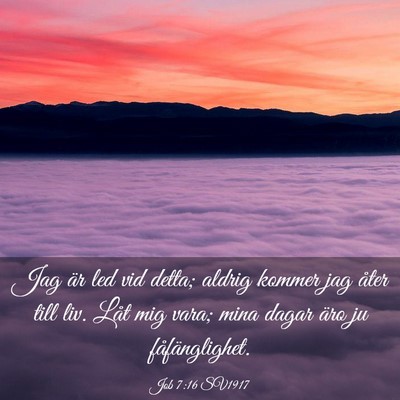 Picture 03 - Job 7:16 SV1917 - Jag är led vid detta; aldrig kommer jag åter - Bible Verse Picture