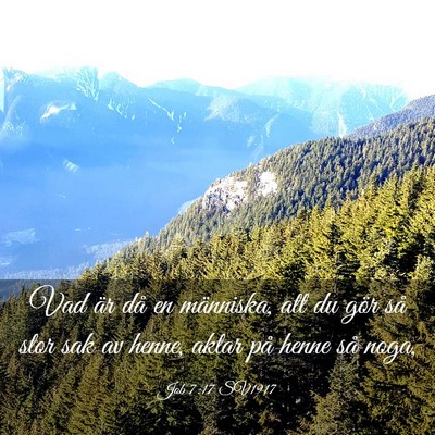 Picture 03 - Job 7:17 SV1917 - Vad är då en människa, att du gör så stor - Bible Verse Picture