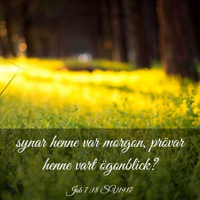 Picture 03 - Job 7:18 SV1917 - synar henne var morgon, prövar henne vart - Bible Verse Picture