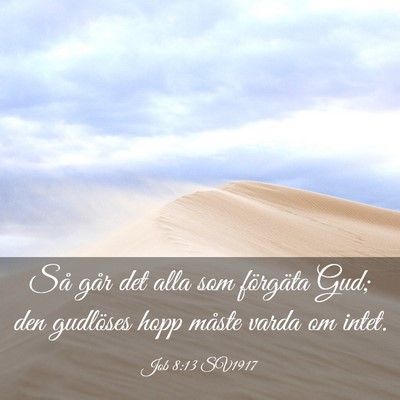 Picture 03 - Job 8:13 SV1917 - Så går det alla som förgäta Gud; den - Bible Verse Picture