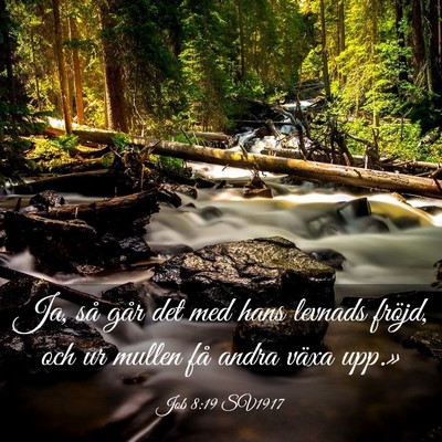 Picture 03 - Job 8:19 SV1917 - Ja, så går det med hans levnads fröjd, och ur - Bible Verse Picture